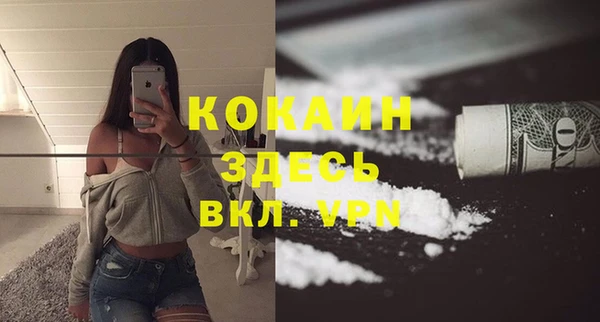 тгк Абаза