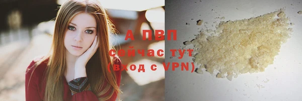 дживик Абинск