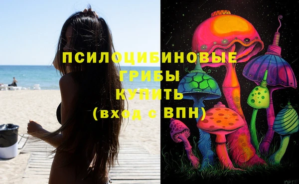 тгк Абаза