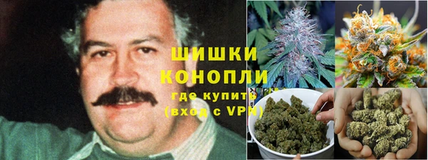 тгк Абаза