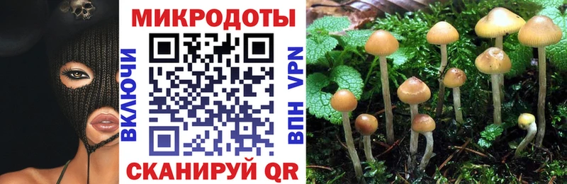 Галлюциногенные грибы мицелий Комсомольск-на-Амуре